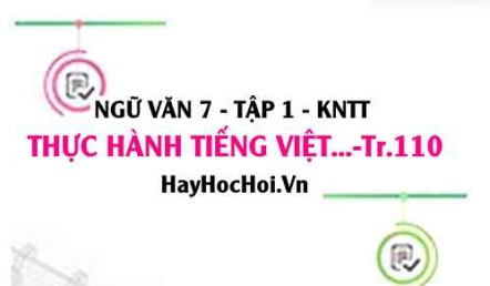 Soạn bài Thực hành tiếng Việt trang 110 Ngữ văn lớp 7 Kết nối tri thức tập 1